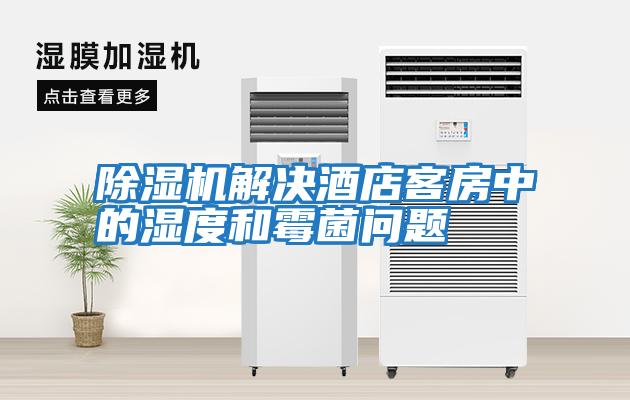 除濕機(jī)解決酒店客房中的濕度和霉菌問(wèn)題