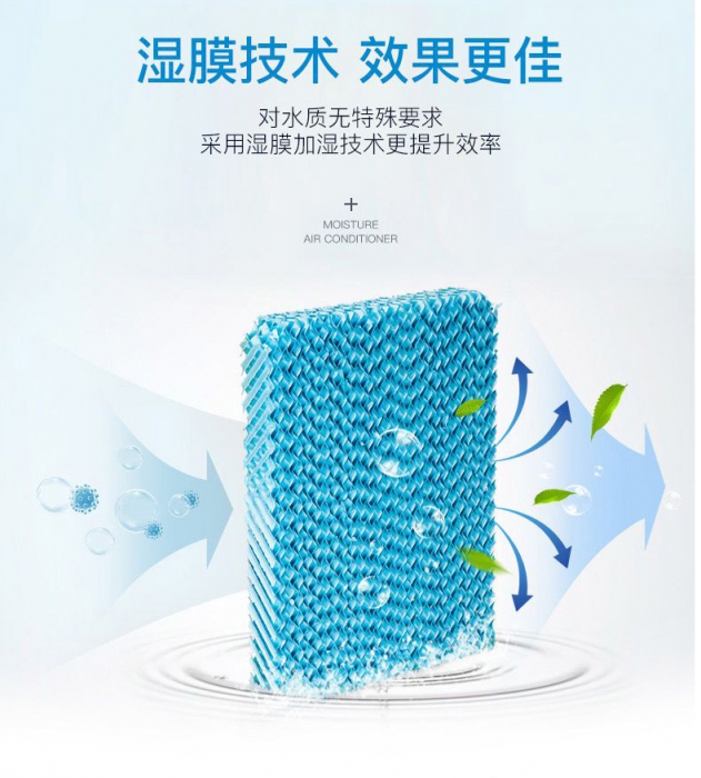 潮濕季，食材／貴重物品該防潮防霉防蟲，你不知道的秘密！