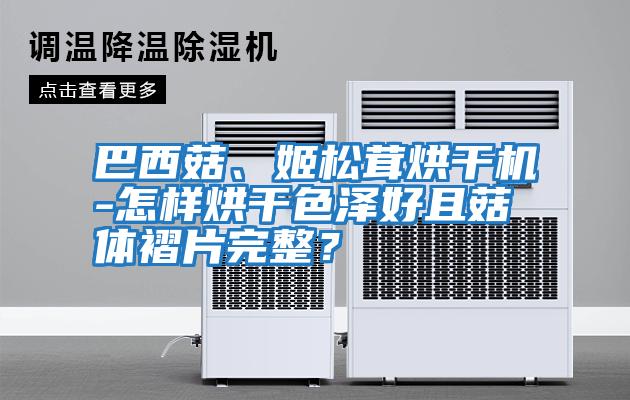 巴西菇、姬松茸烘干機-怎樣烘干色澤好且菇體褶片完整？