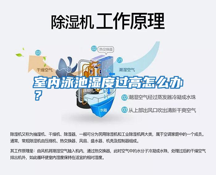 室內泳池濕度過高怎么辦？