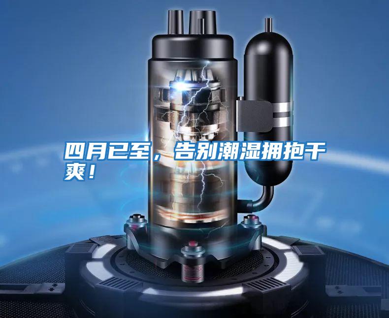 四月已至，告別潮濕擁抱干爽！