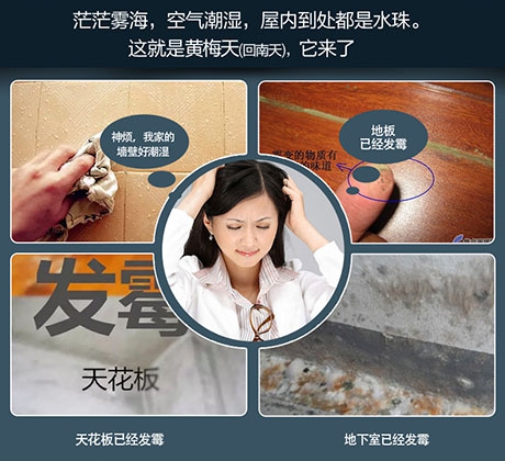 潮濕危害竟然這么大！