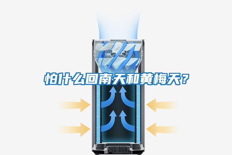 怕什么回南天和黃梅天？