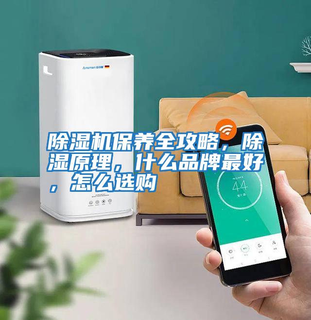 除濕機保養全攻略，除濕原理，什么品牌最好，怎么選購
