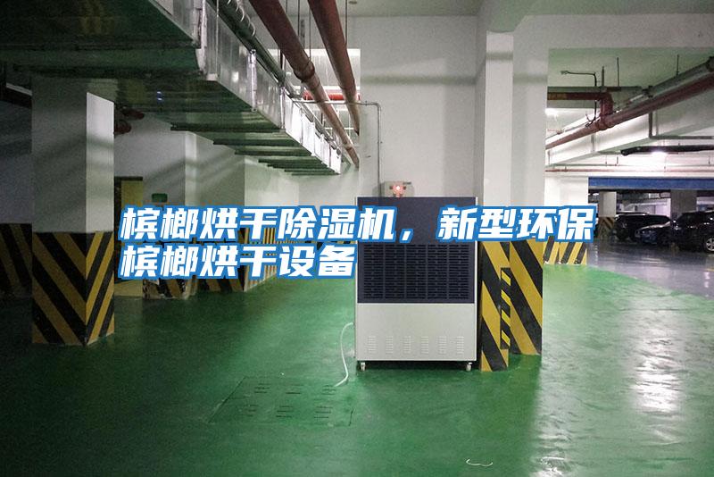 檳榔烘干除濕機，新型環保檳榔烘干設備