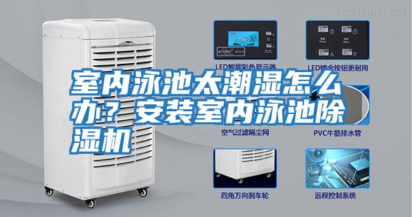 室內(nèi)泳池太潮濕怎么辦？安裝室內(nèi)泳池除濕機