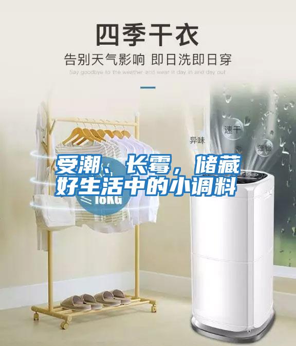 受潮、長霉，儲藏好生活中的小調(diào)料