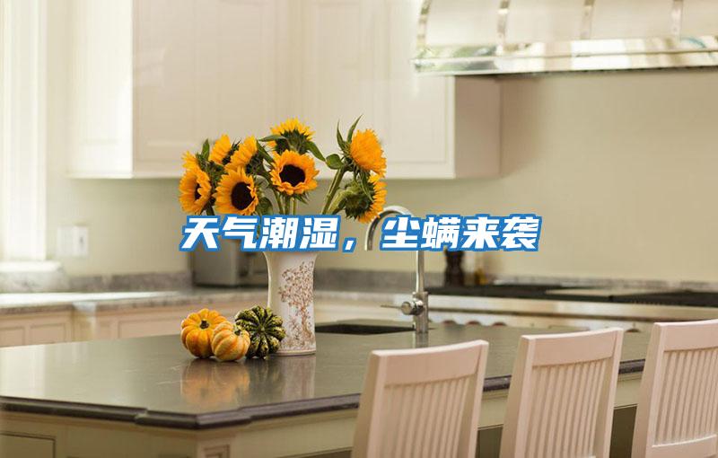 天氣潮濕，塵螨來襲