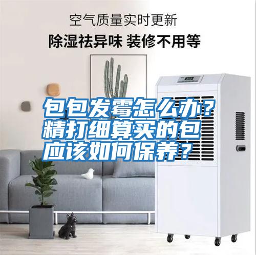 包包發霉怎么辦？精打細算買的包應該如何保養？