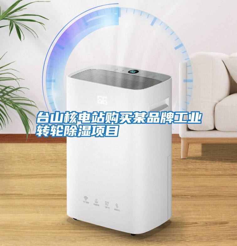 臺山核電站購買某品牌工業(yè)轉(zhuǎn)輪除濕項(xiàng)目