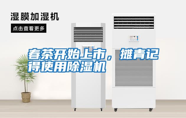 春茶開始上市，攤青記得使用除濕機