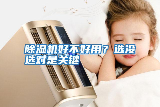除濕機好不好用？選沒選對是關鍵