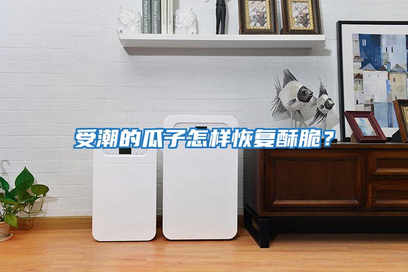 受潮的瓜子怎樣恢復(fù)酥脆？