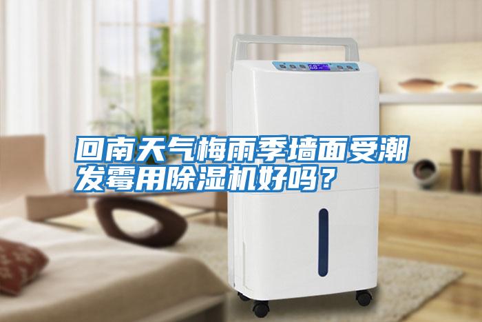 回南天氣梅雨季墻面受潮發霉用除濕機好嗎？