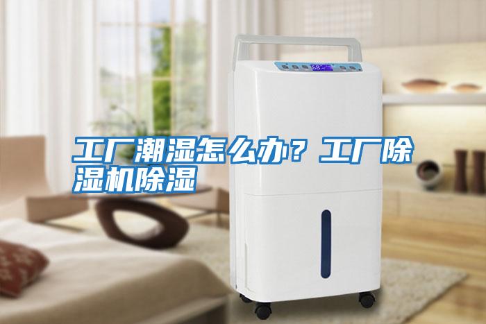 工廠潮濕怎么辦？工廠除濕機除濕