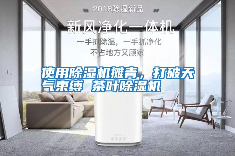 使用除濕機攤青，打破天氣束縛 茶葉除濕機