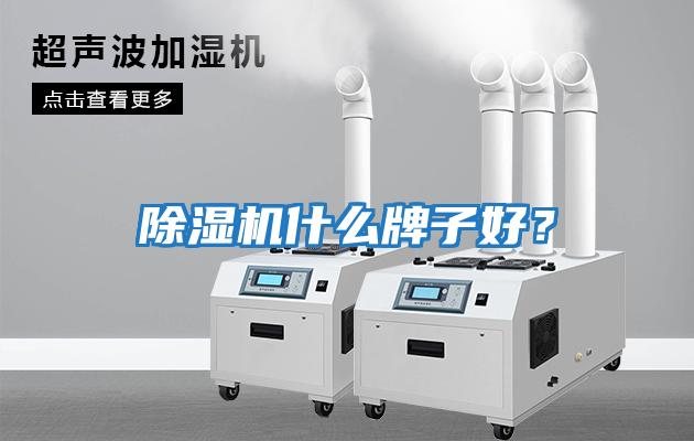 除濕機什么牌子好？