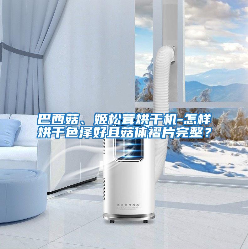 巴西菇、姬松茸烘干機-怎樣烘干色澤好且菇體褶片完整？