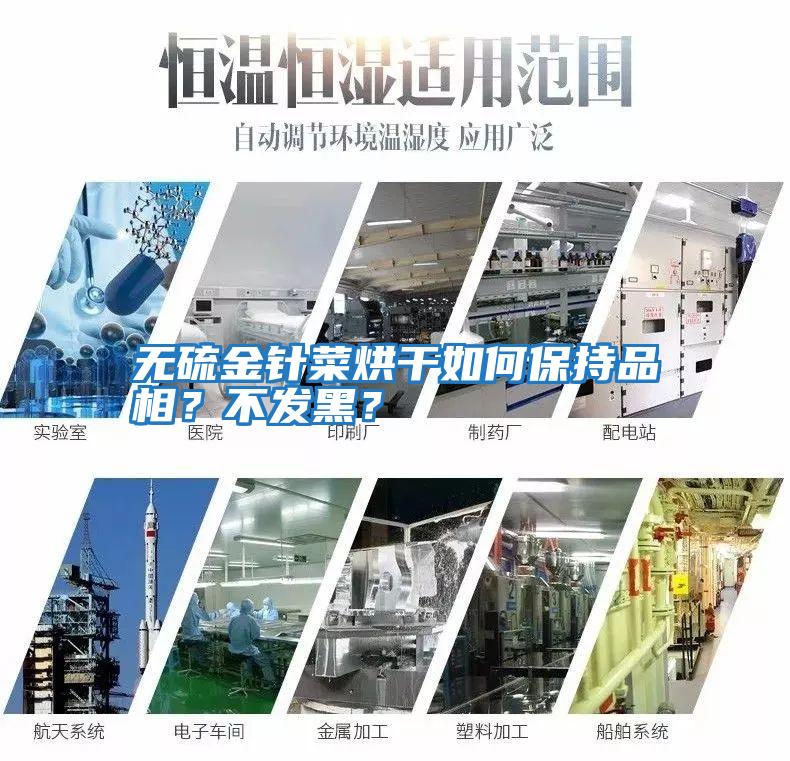 無硫金針菜烘干如何保持品相？不發(fā)黑？