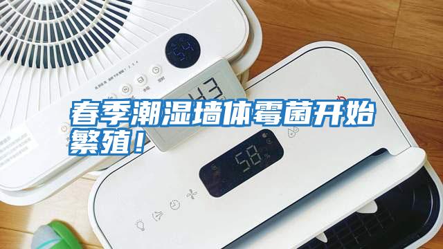 春季潮濕墻體霉菌開(kāi)始繁殖！