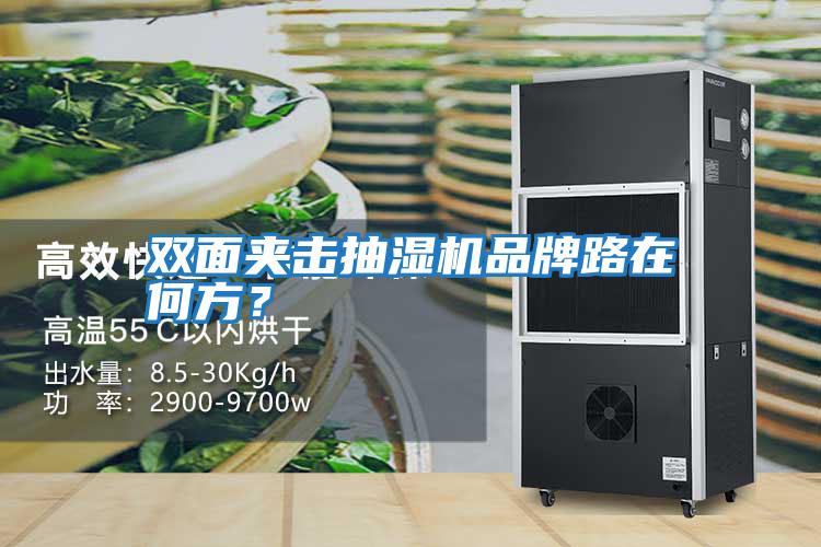 雙面夾擊抽濕機(jī)品牌路在何方？