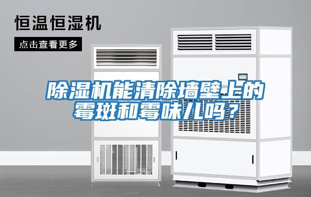 除濕機能清除墻壁上的霉斑和霉味兒嗎？