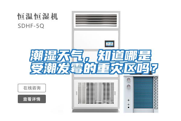 潮濕天氣，知道哪是受潮發霉的重災區嗎？