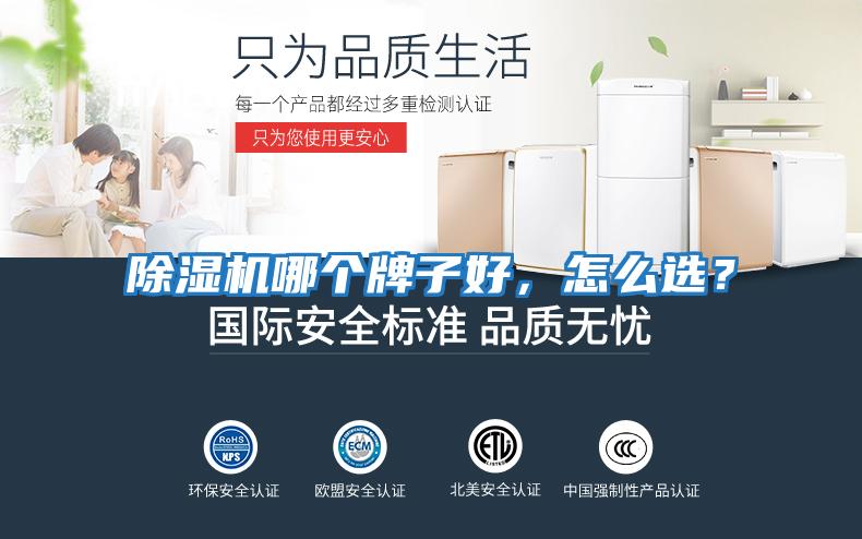 除濕機哪個牌子好，怎么選？