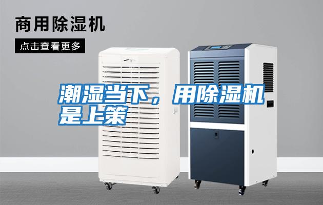 潮濕當(dāng)下，用除濕機(jī)是上策