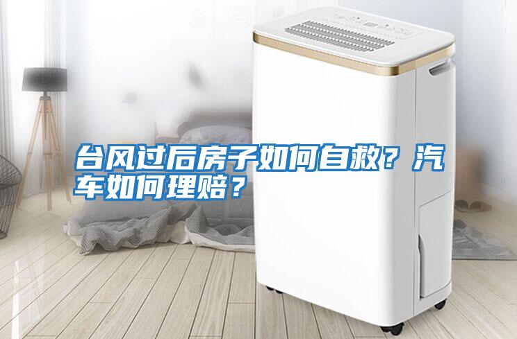 臺風過后房子如何自救？汽車如何理賠？