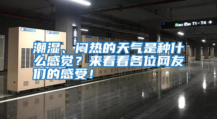 潮濕、悶熱的天氣是種什么感覺？來看看各位網友們的感受！