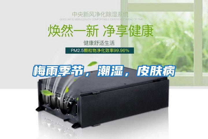 梅雨季節，潮濕，皮膚病