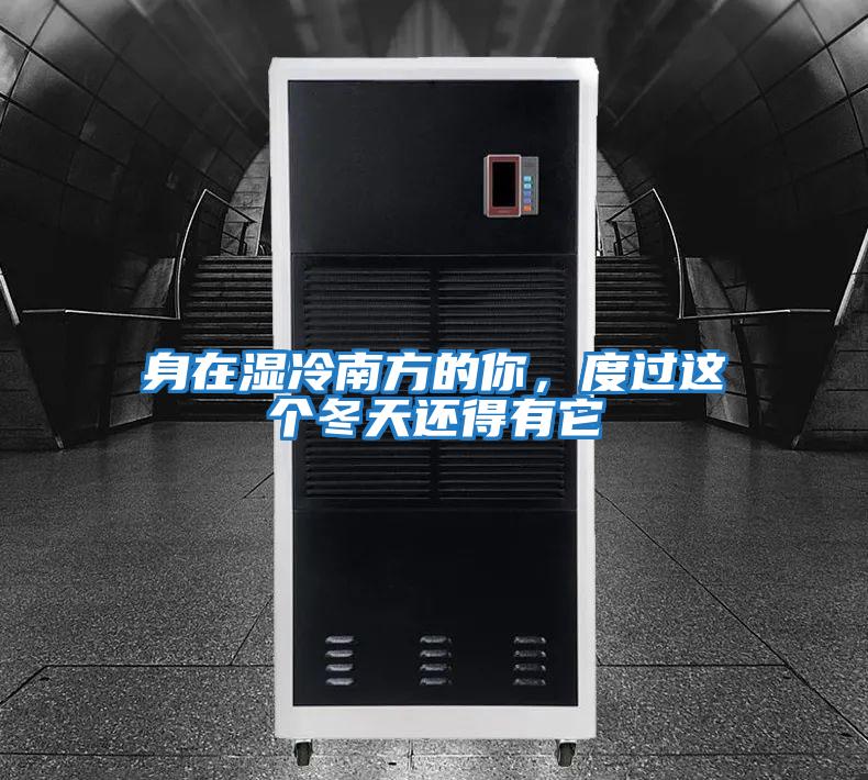 身在濕冷南方的你，度過這個冬天還得有它