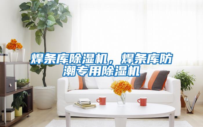 焊條庫除濕機(jī)，焊條庫防潮專用除濕機(jī)