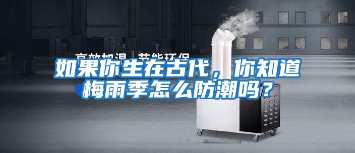 如果你生在古代，你知道梅雨季怎么防潮嗎？