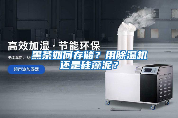 黑茶如何存儲？用除濕機還是硅藻泥？