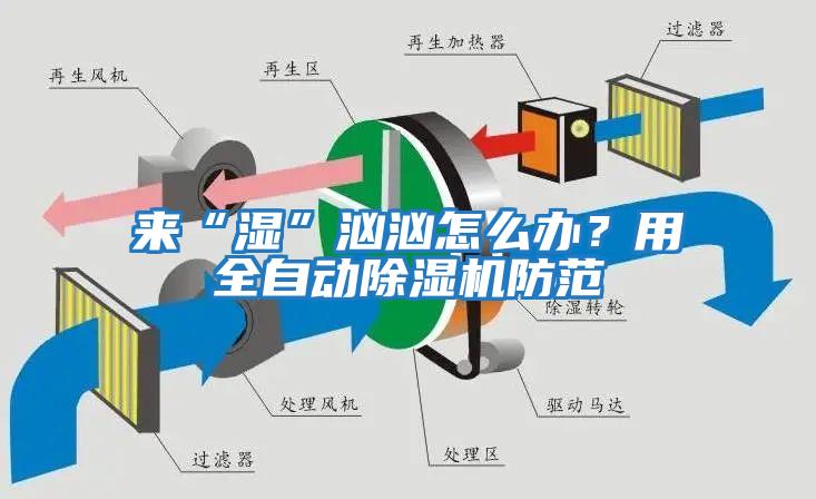來“濕”洶洶怎么辦？用全自動除濕機防范