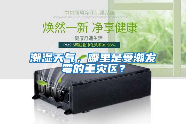 潮濕天氣，哪里是受潮發霉的重災區？