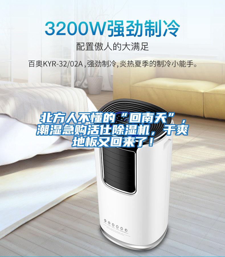 北方人不懂的“回南天”，潮濕急購活仕除濕機(jī)，干爽地板又回來了！