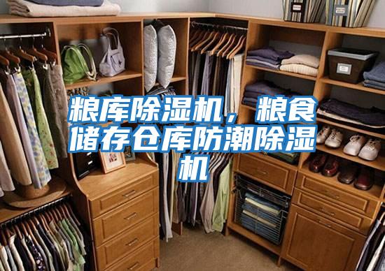 糧庫除濕機，糧食儲存倉庫防潮除濕機