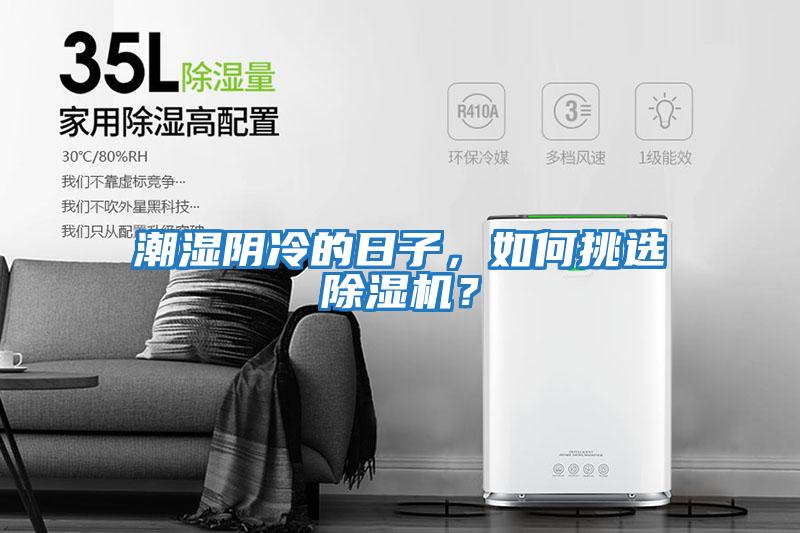 潮濕陰冷的日子，如何挑選除濕機？