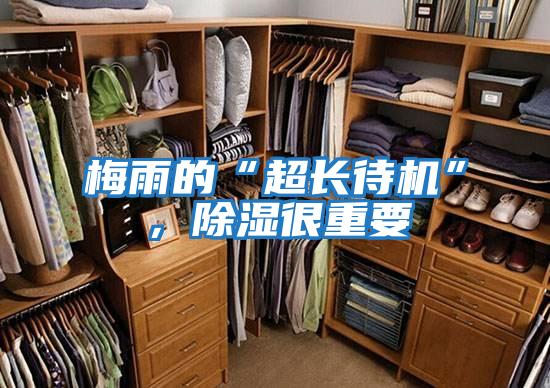 梅雨的“超長待機”，除濕很重要