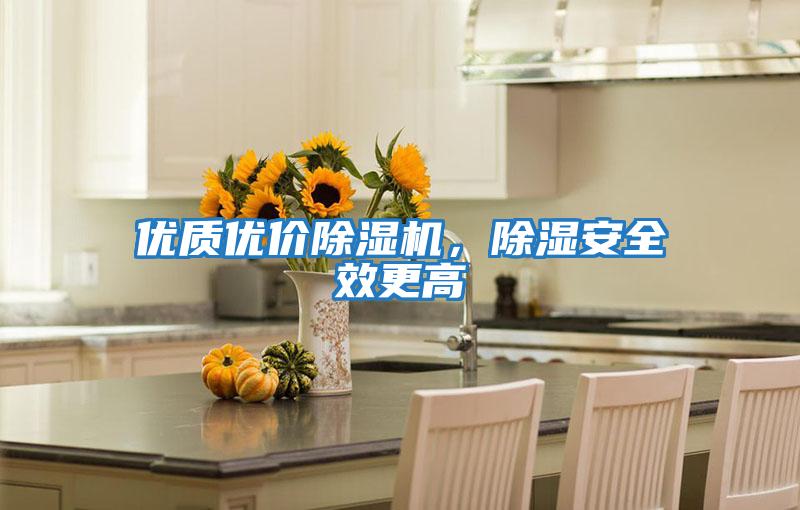 優(yōu)質(zhì)優(yōu)價除濕機，除濕安全效更高