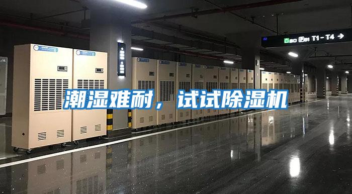 潮濕難耐，試試除濕機