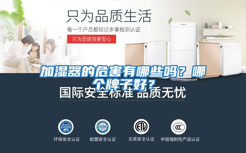 加濕器的危害有哪些嗎？哪個牌子好？