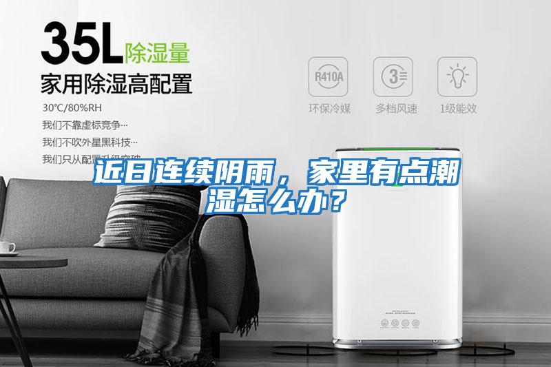 近日連續陰雨，家里有點潮濕怎么辦？