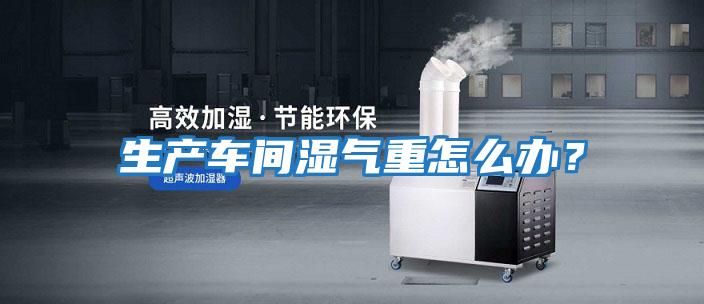 生產(chǎn)車間濕氣重怎么辦？