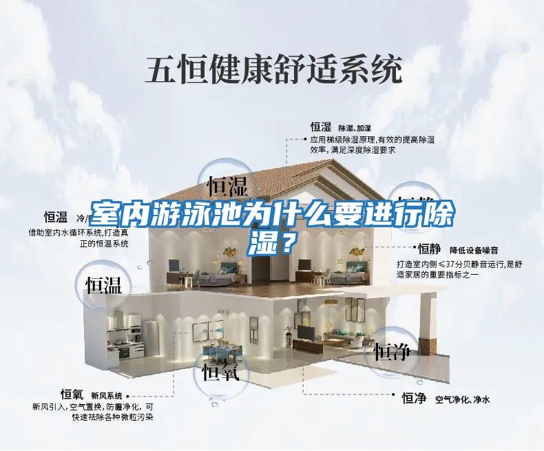 室內(nèi)游泳池為什么要進行除濕？