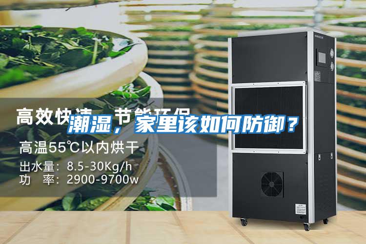 潮濕，家里該如何防御？