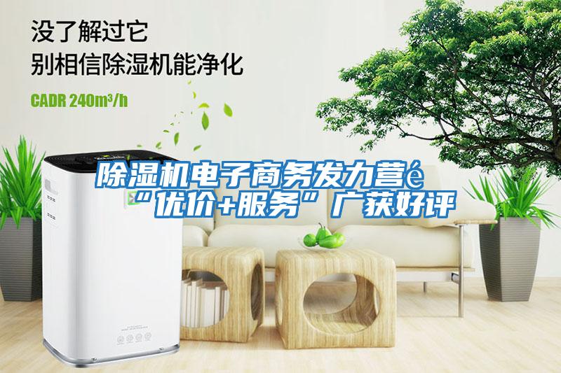 除濕機(jī)電子商務(wù)發(fā)力營銷“優(yōu)價(jià)+服務(wù)”廣獲好評